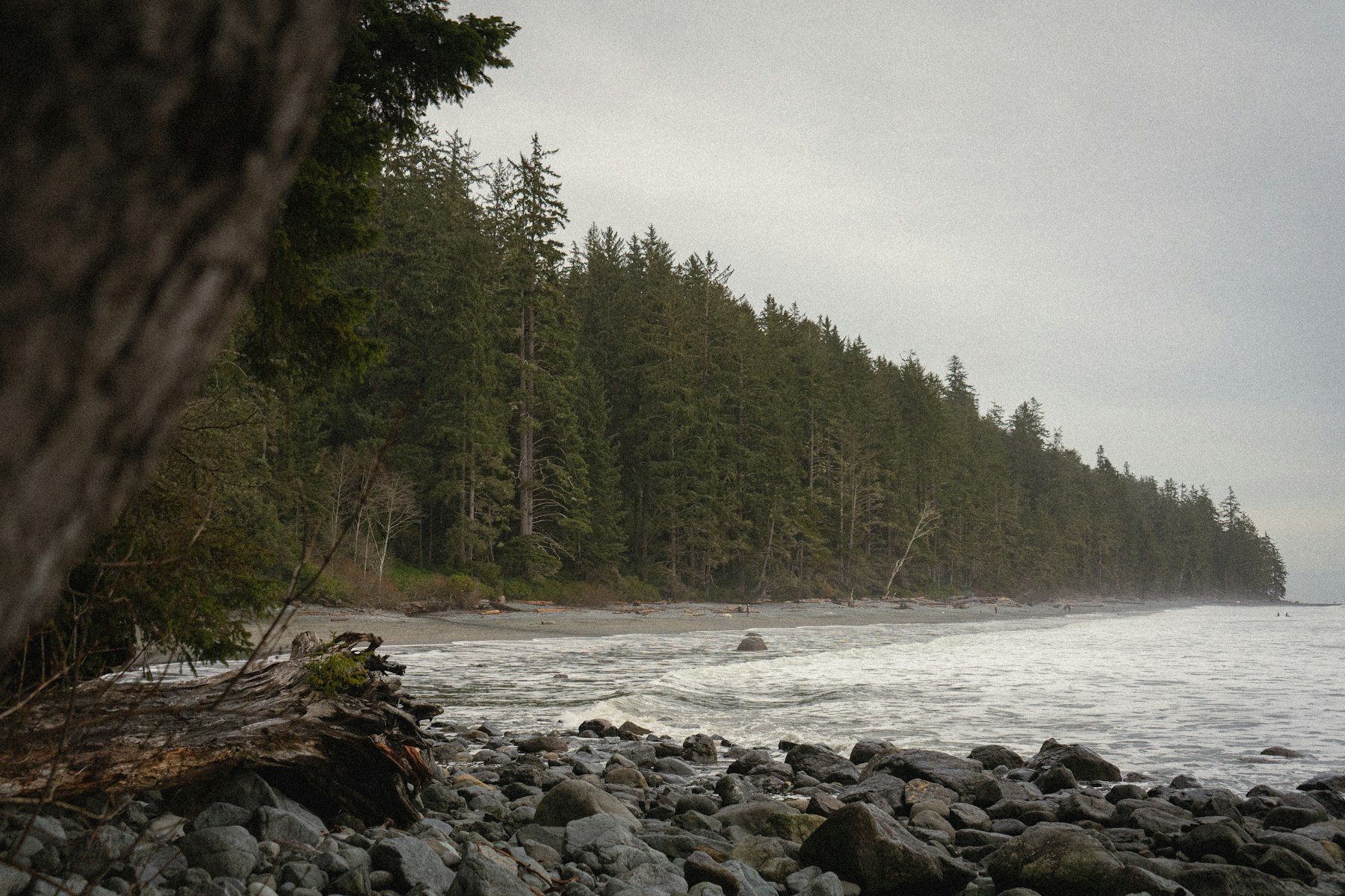 The rugged coastline just beyond the cabin