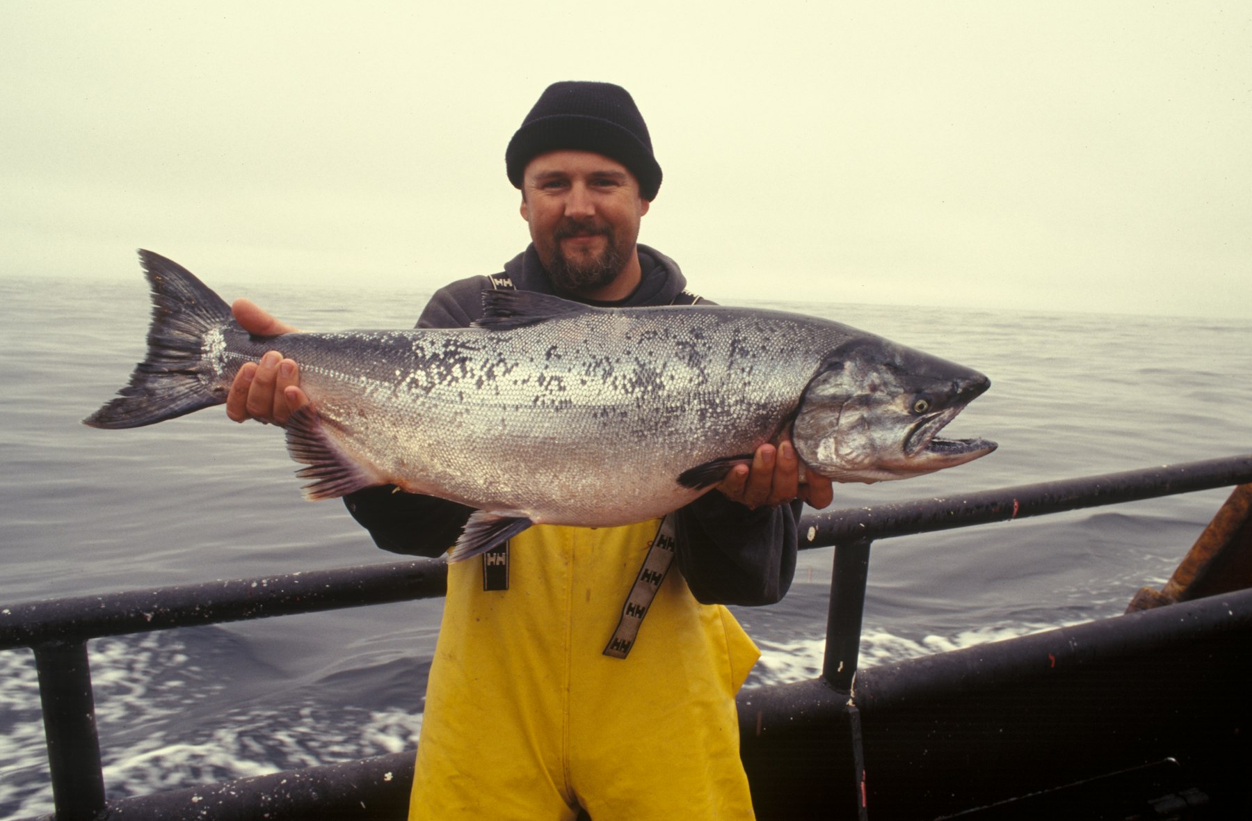 An angler holding a bright Chinook salmon on the water off Haida Gwaii
